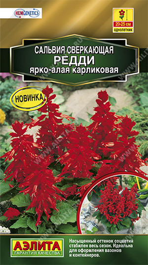 Сальвия «Редди карликовая»