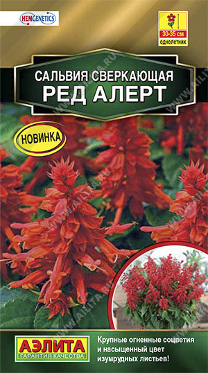 Сальвия сверкающая «Ред Алерт»