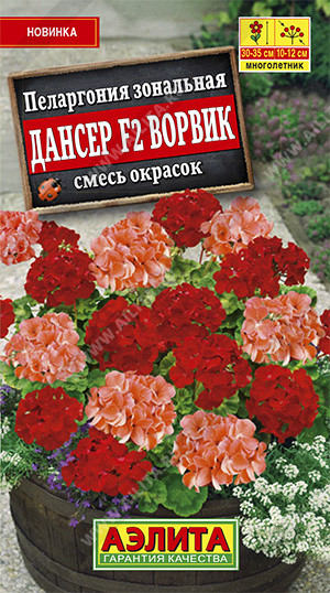 Пеларгония «Дансер F2 Ворвик»