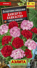 Пеларгония «Дансер F2 Ланкастер»
