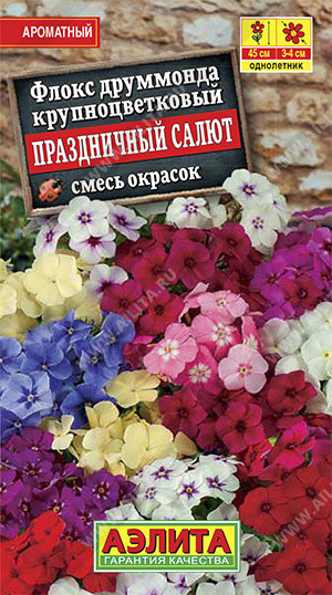 Флокс «Праздничный салют»
