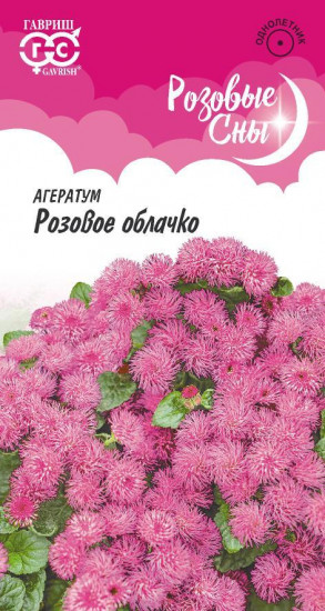 Агератум «Розовое облачко»