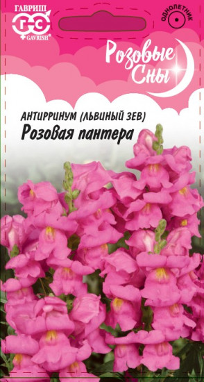 Антирринум (Львиный зев) «Розовая пантера»