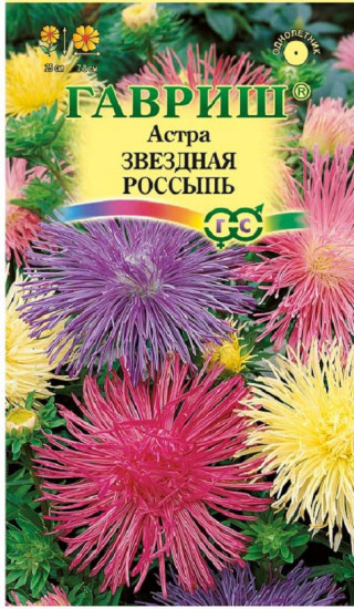 Астра «Звездная россыпь»