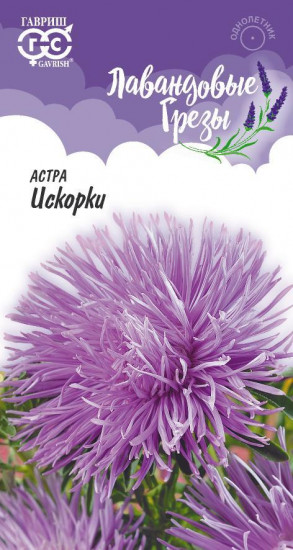 Астра «Искорки»