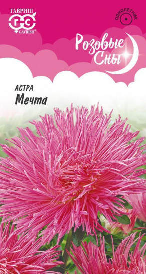 Астра «Мечта»