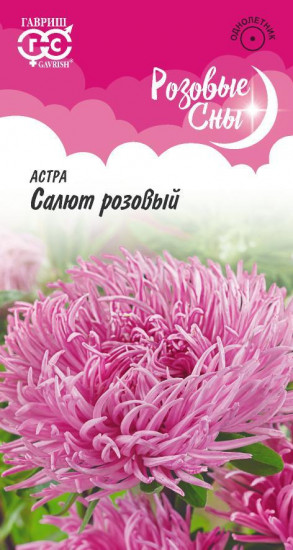 Астра «Салют розовый»
