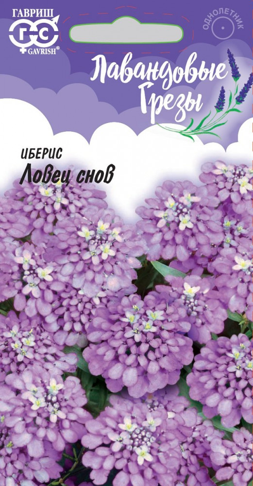 Иберис «Ловец снов» | Лавандовые грёзы | Гавриш