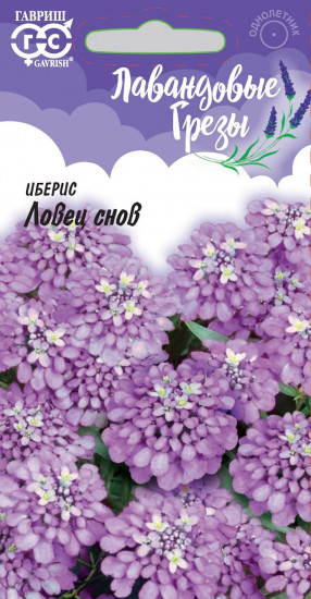 Иберис «Ловец снов»