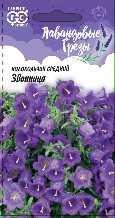 Колокольчик средний «Звонница» | Лавандовые грёзы | Гавриш