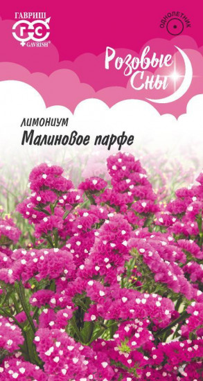 Лимониум «Малиновое парфе»