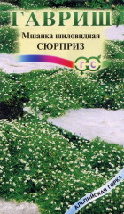 Мшанка шиловидная «Сюрприз»