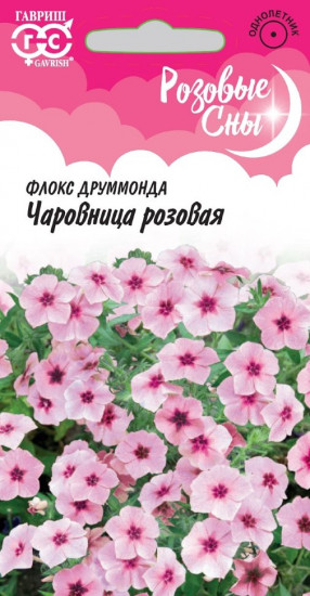 Флокс «Чаровница розовая»