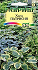 Хоста «Патрисия»