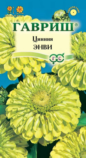 Цинния «Энви изящная»