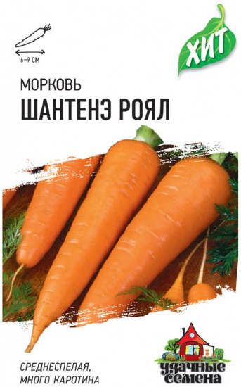 Морковь «Шантенэ Роял»