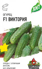 Огурец «Виктория»