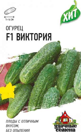 Огурец «Виктория»