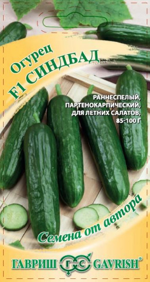 Огурец «Синдбад»