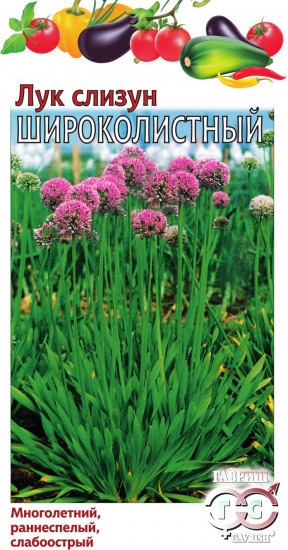 Лук слизун «Широколистный»