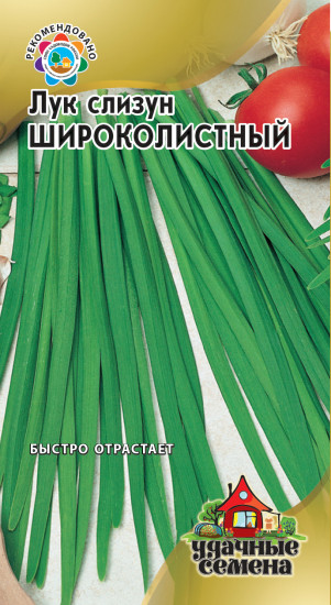 Лук слизун «Широколистный»