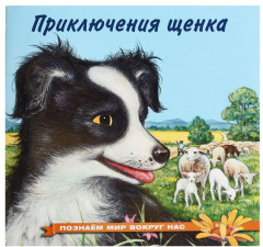 Приключения щенка