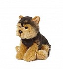 Йоркширский терьер