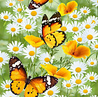 Комплект вафельных полотенец «Бабочки»