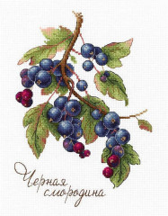 Набор для вышивания «Черная смородина»