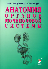 Анатомия органов м