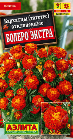 Бархатцы «Болеро Экстра отклоненные»