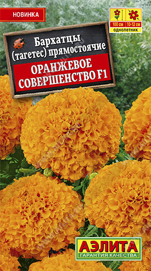 Бархатцы «Оранжевое совершенство»