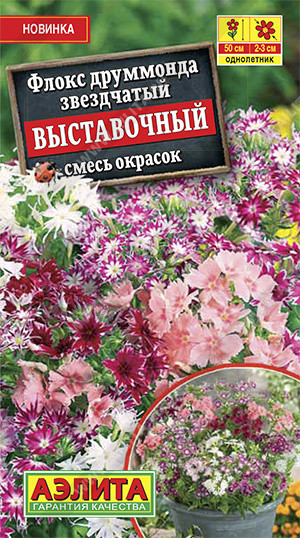 Флокс «Выставочный»