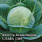 Капуста белокочанная «Слава 1305»