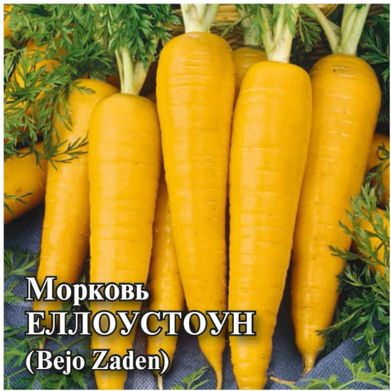 Морковь «Еллоустоун»