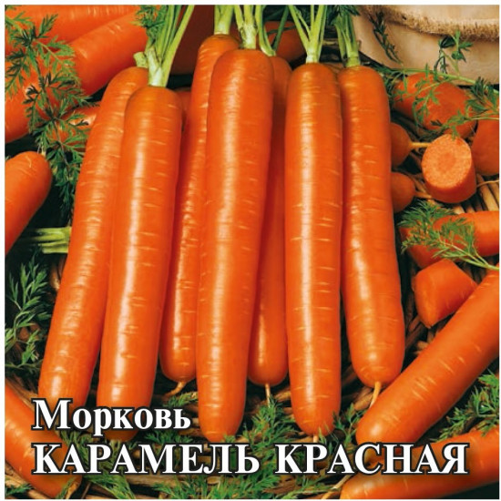 Морковь «Карамель красная»
