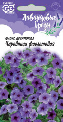 Флокс Друммонда «Чаровница фиолетовая»