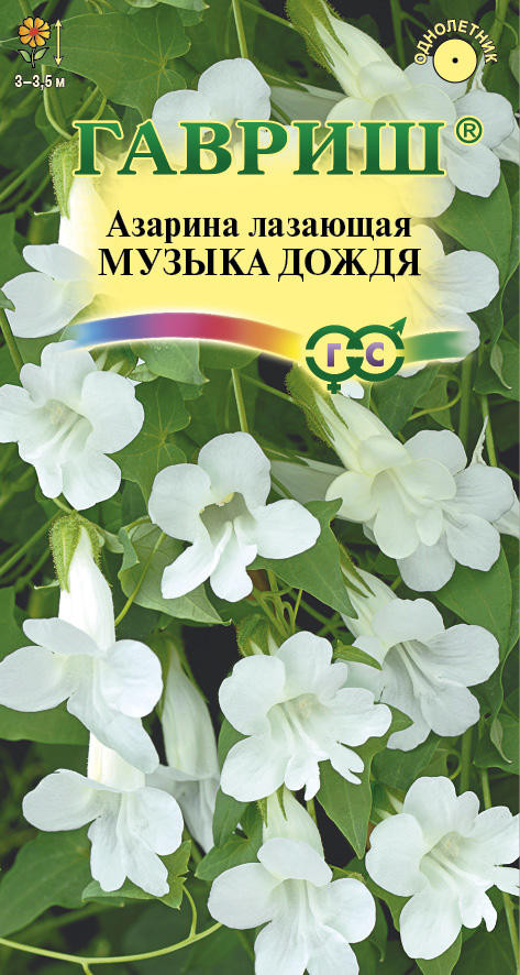 Азарина «Музыка дождя» | Гавриш