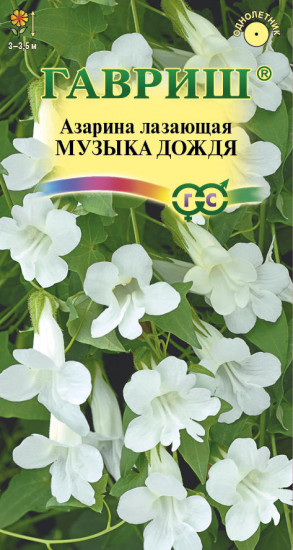 Азарина «Музыка дождя»