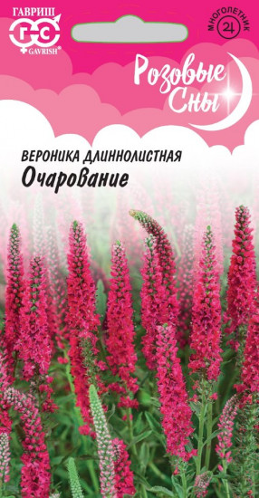 Вероника длиннолистная «Очарование»