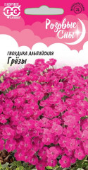 Гвоздика «Альпийская грёзы»