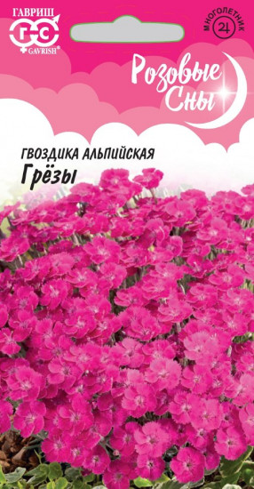 Гвоздика «Альпийская грёзы»