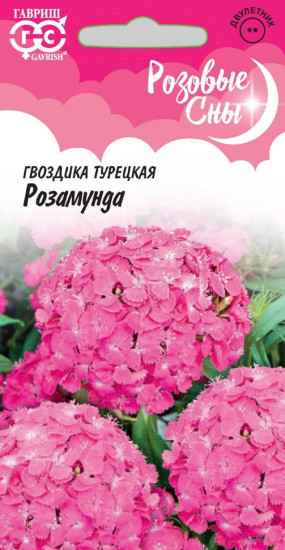 Гвоздика «Розамунда»