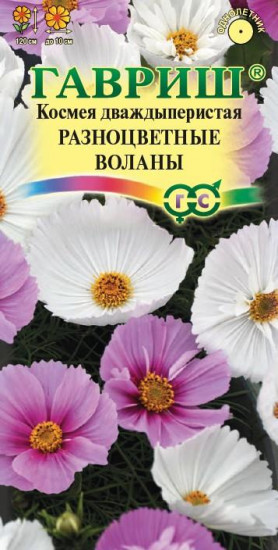 Космея «Разноцветные воланы»