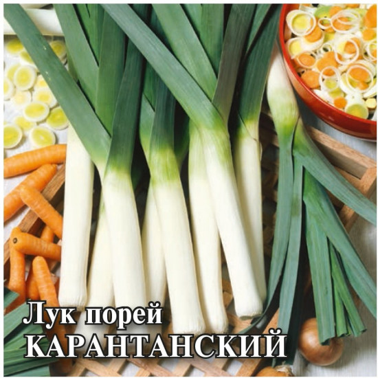 Лук порей «Карантанский»