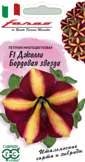 Петуния многоцветковая