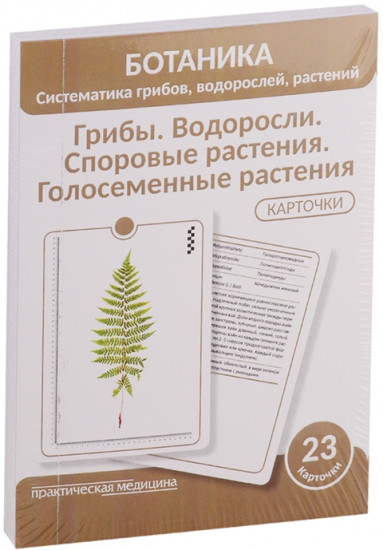 Ботаника. Систематика грибов, водорослей, растений. Грибы. Водоросли. Споровые растения. Голосеменные растения. (Карточки 23 шт.)