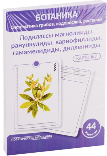 Ботаника. Систематика грибов, водорослей, растений. Подклассы магнолииды, ранункулиды, кариофиллиды, гамамелидиды, дилленииды