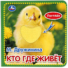 Кто где живет