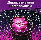 Декоративные композиции